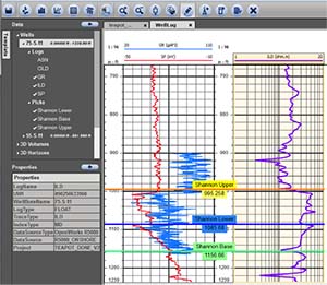 INT collaborates with TIBCO to develop subsurface viewer