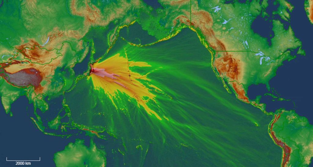 tsunami-web